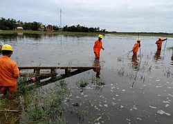 Xử lý sự cố lưới điện bão số 5: Ấm áp tình người