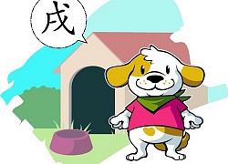 Tử vi 12 con giáp thứ sáu, ngày 1/1/2021: Mão quý nhân phù trợ, Tý tài lộc dồi dào