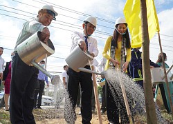 Bến Tre vận động trồng 10 triệu cây xanh
