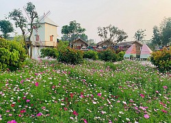 Mê mẩn quên lối về ở các làng nghề hoa Hà Nội
