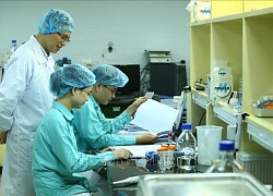 Dự kiến thử nghiệm vaccine COVID-19 thứ 2 trên người sớm hơn kế hoạch