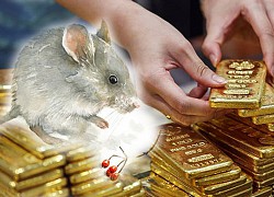 Đúng 9h ngày 5/1 tới, top 3 con giáp đào trúng "mỏ vàng", thần tài độ mạng làm gì cũng thành công rực rỡ