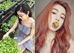 Fan xin bí quyết dưỡng trắng da, Elly Trần hiến kế làm đẹp nhưng sao thấy sai sai