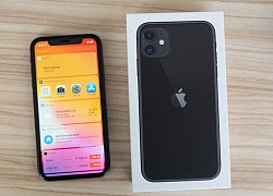 iPhone 11 là smartphone Apple bán chạy nhất 2020