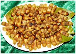 Món đuông sành điệu miền Tây