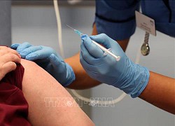 Pfizer và BioNTech đề xuất tiêm vaccine cho các tình nguyên viên đã tiêm giả dược
