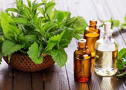 Trị ngáy ngủ bằng tinh dầu cực kỳ hiệu quả
