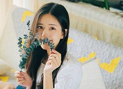 Tử vi chỉ rõ 3 con giáp sự nghiệp rực rỡ, tình yêu như ý trong năm 2021