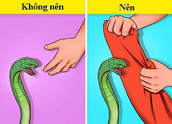 7 kỹ năng xử lý thông minh trong các tình huống "ngàn cân treo sợi tóc"