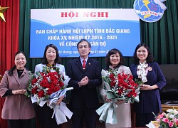 Bắc Giang: 2 trưởng ban được bầu làm Phó Chủ tịch Hội LHPN tỉnh