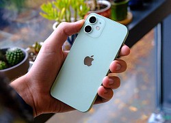 Chất lượng camera iPhone 12 mini ngang bằng iPhone 12