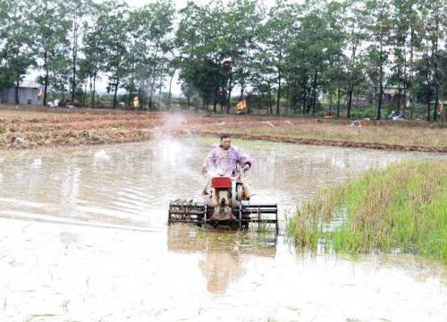 Gieo cấy vụ Đông Xuân 2020-2021: Diện tích có nước đạt trên 63%