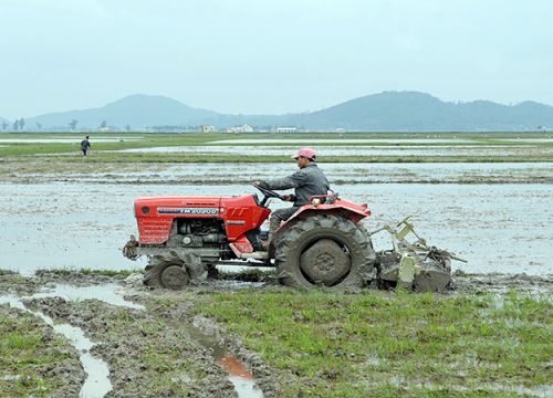 Kéo dài thời gian hỗ trợ phí bảo hiểm nông nghiệp đến hết năm 2021