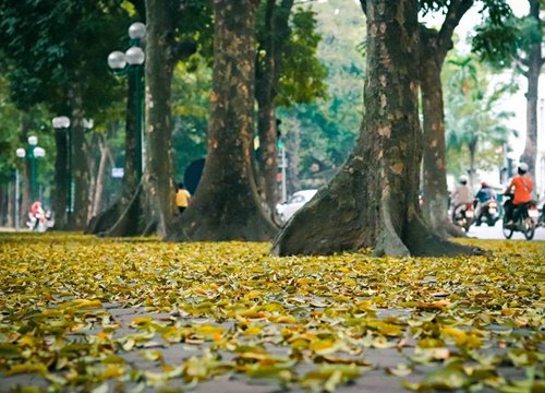 Lời bài hát "Em Ơi Hà Nội Phố" của nhạc sĩ Phú Quang đúng nhất