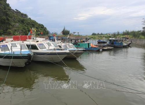 Nếu an toàn về dịch, có thể mở lại các tuyến vận tải thủy đi các tuyến đảo trong tỉnh Quảng Ninh