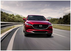 Bộ đôi SUV Mazda CX-5 và Mazda CX-8 về đích ấn tượng