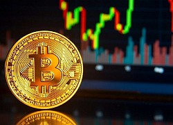 Nhân loại đã đổ bao nhiêu tiền vào Bitcoin?