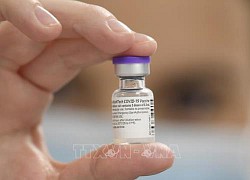 Đức đặt mua vaccine cho năm 2022