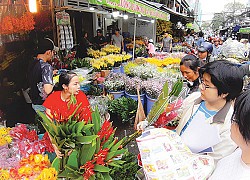 Hoa ngày xuân: Đẹp nhưng coi chừng "độc"