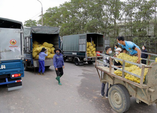 Quảng Ninh tính cách giúp bán nông sản từ vùng dịch COVID-19