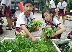 Trường Tiểu học Đông Hòa B thực hiện tốt "học đi đôi với hành"