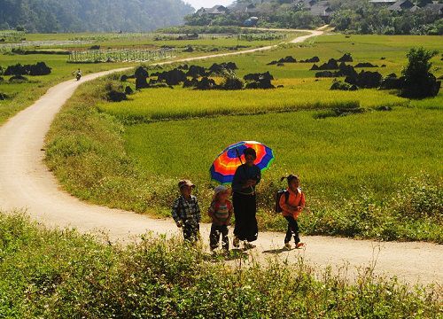 "Cắt rừng" đến lớp giữa đại ngàn Pù Luông