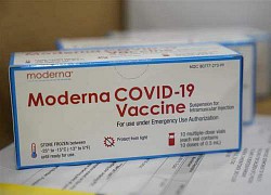 EU giải thích về việc chương trình tiêm vaccine ngừa COVID-19 diễn ra chậm