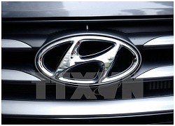 Hyundai tạm dừng hoạt động của một nhà máy trong nước