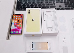 iPhone 11 là smartphone "đắt khách nhất" của Apple tại Việt Nam