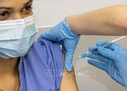 Ireland lên kế hoạch tiêm phòng vaccine của Moderna cho người dân