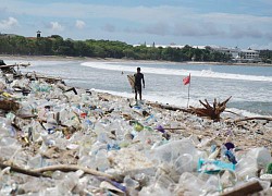 Kinh hãi bãi biển Bali ngập rác, có ngày 60 tấn dạt vào bờ