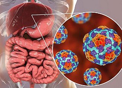 Những loại virus viêm gan nào có thể lây truyền qua đường tiêu hóa?