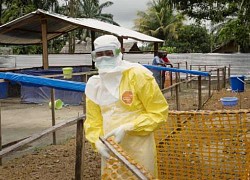 Săn lùng &#039;bệnh X&#039;: Nguy hiểm như Ebola, lan nhanh như COVID-19