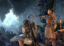 Tin vui cho game thủ Skyrim, dòng game The Elder Scrolls có thể được chuyển thể thành phim