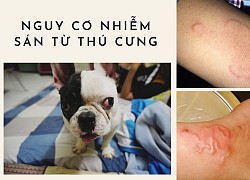 Cẩn trọng với nguy cơ nhiễm sán từ thú cưng của bạn