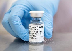 Dịch COVID-19: COVAX bắt đầu bàn giao vaccine trong tháng này