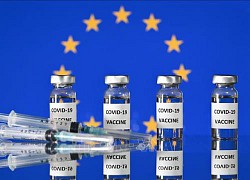 EU yêu cầu các nước thành viên không mua riêng rẽ vaccine ngừa COVID-19