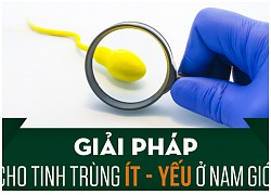 Giải pháp nào cho tình trạng tinh trùng ít - yếu ở nam giới?