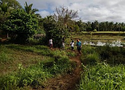 Học sinh Philippines trèo lên mái nhà, ra nghĩa địa để học trực tuyến