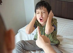 "Nếu bạn có một đứa con hư, bạn có đánh chửi, từ mặt con không?": Lý giải của PGS.TS ở Hà Nội khiến hàng ngàn phụ huynh nhìn lại bản thân