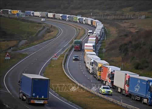 Chuỗi cung ứng hàng hóa cho Bắc Ireland có thể sụp đổ trong vài ngày tới