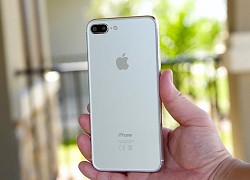 Hàng loạt thiết bị chủ lực của Apple dần biến mất tại Việt Nam