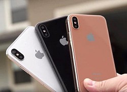 iPhone qua sử dụng đồng loạt giảm giá dịp gần Tết