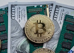 Tiến sát mốc 42.000 USD, động lực chính đằng sau đà tăng bùng nổ của Bitcoin cùng các đồng tiền số khác là gì?