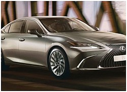 2021 Lexus RX Luxury Special Edition, ES Limited Edition lộ diện, nâng cấp thẩm mỹ sang trọng