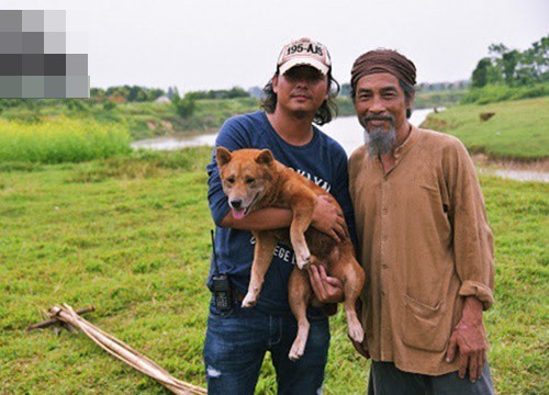 "Cậu Vàng" bị tẩy chay đâu phải lỗi của chú chó!