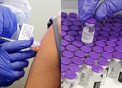 Chủ tịch WB: Phân phối nhanh chóng vaccine ngừa COVID-19 sẽ có tác động hỗ trợ kinh tế hồi phục