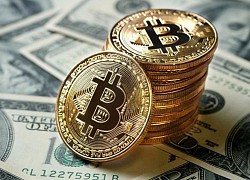 Đầu cơ bitcoin dễ dàng như thế nào: Tới mức nhìn trăng sao cũng dự đoán được giá tiền tăng giảm