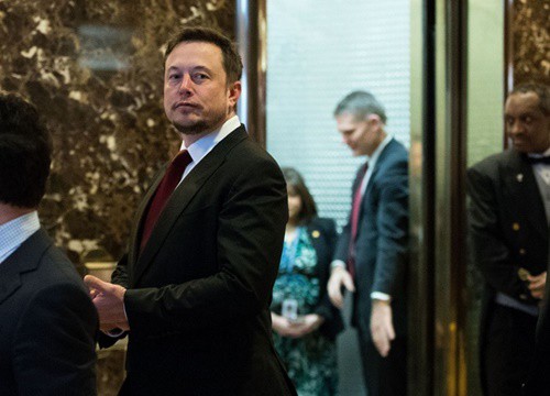 Donald Trump Jr hy vọng Elon Musk lập mạng xã hội mới