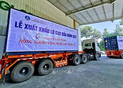 Triển khai đồng bộ, hiệu quả các nhiệm vụ, giải pháp trọng tâm năm 2021